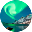 Tereza Pascali profile picture